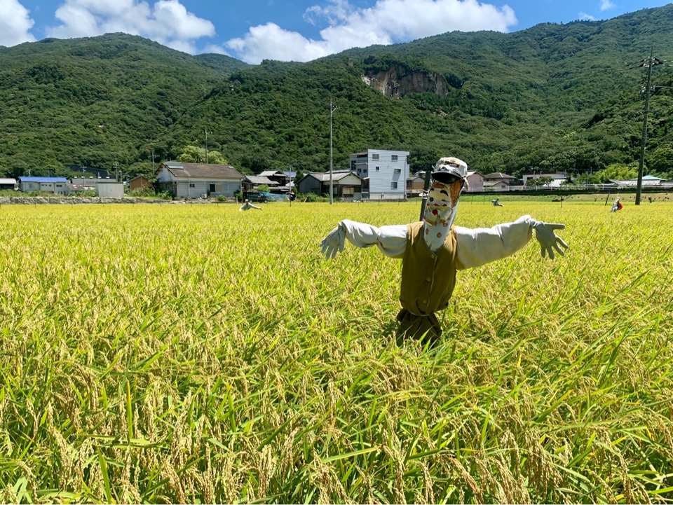 残石園外