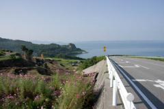 右側にガードレールのある道路、左側に花が咲き畑が広がっており、奥には海が見えている写真