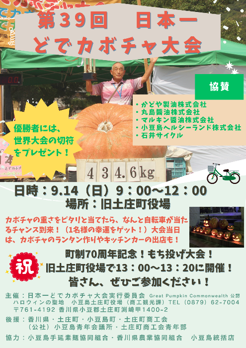 チラシ