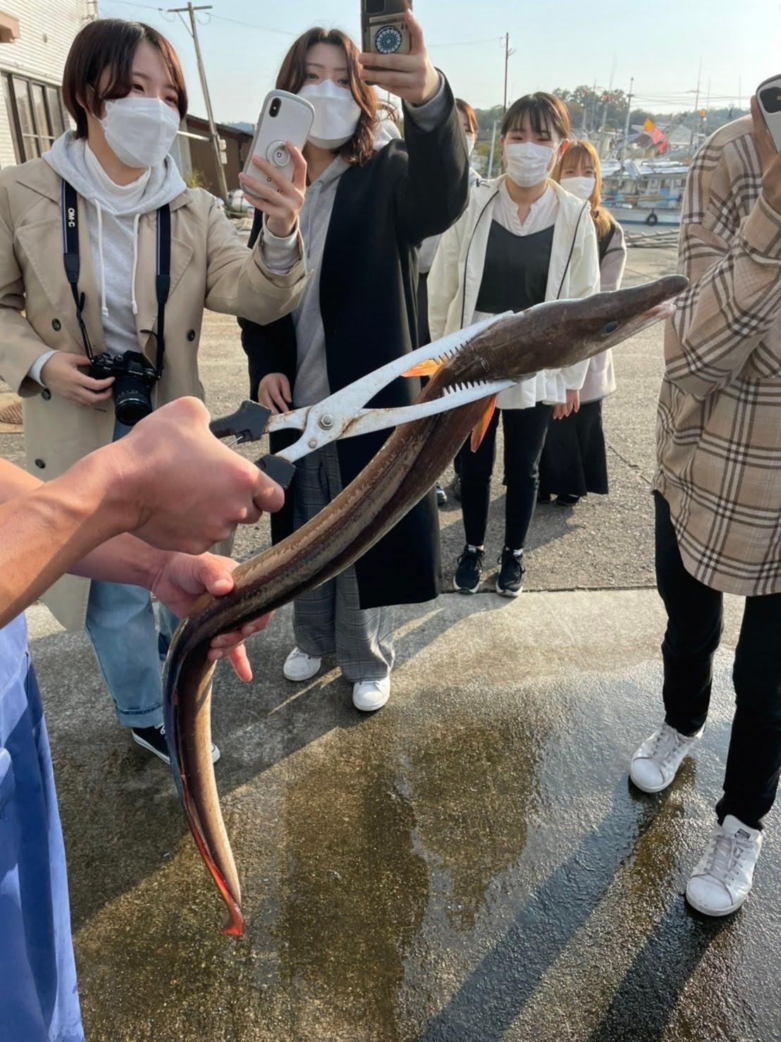 島鱧と大学生