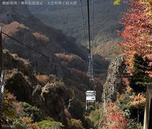 紅葉の綺麗な山の上に向かってロープウエイが昇っている寒霞渓の写真