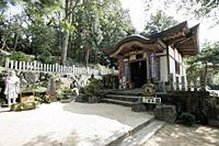 金剛寺奥の院の三暁庵が石段の上に建ってあり横には木々が植えられてある写真