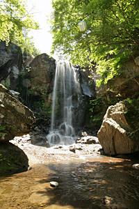 大きな岩肌から水が勢いよく流れ落ちている銚子溪・銚子の滝の写真