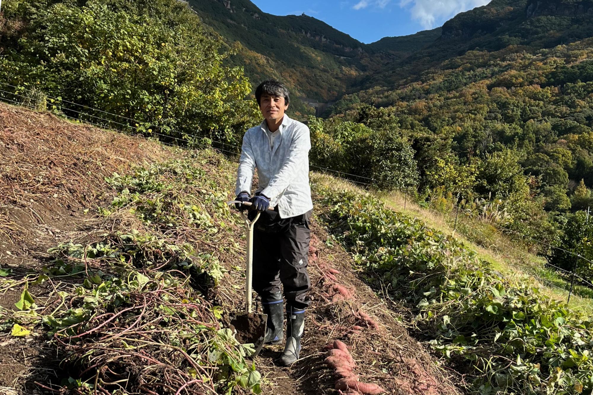 稲葉慎