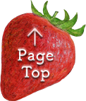 Page Top